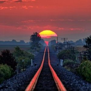 Meet your Posher, Shawn